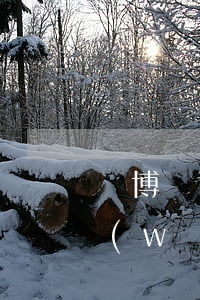 賭博輸了5萬網(wǎng)貸欠了2萬(網(wǎng)絡(luò)賭錢輸欠了五萬多)