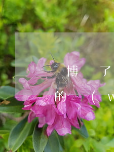 賭博輸了欠了很多網(wǎng)貸(賭博欠的網(wǎng)貸不還會(huì)怎么樣)