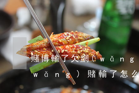 賭博輸了 欠網(wǎng)貸(借的貸款,網(wǎng)賭輸了怎么辦)