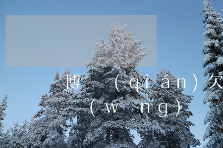 賭博輸錢(qián)欠了網(wǎng)貸(網(wǎng)賭輸錢(qián)網(wǎng)貸欠錢(qián)還不起怎么辦)
