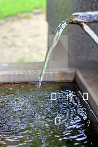 賭博輸錢欠網(wǎng)貸(賭博欠網(wǎng)貸怎么辦)
