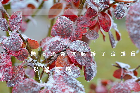 賭博逾期被起訴了沒錢還怎么辦(賭博欠款可以起訴嗎)