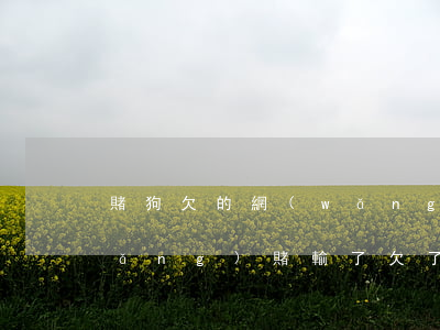 賭狗欠的網(wǎng)貸怎么處理(網(wǎng)賭輸了欠了5萬網(wǎng)貸怎么辦)