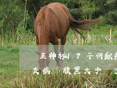 賭王神秘17子何猷邦曝光，網(wǎng)友：病嬌腹黑大少爺逆襲記？