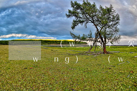 賭錢網(wǎng)貸欠太多怎么坦白(網(wǎng)賭網(wǎng)貸坦白)