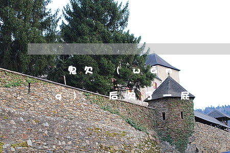 賭鬼欠網(wǎng)貸怎么辦(網(wǎng)賭后欠了一屁股債怎么辦)