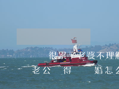 賺錢很累了老婆不理解該離婚嗎(老婆不上班老公掙得錢離婚怎么分)