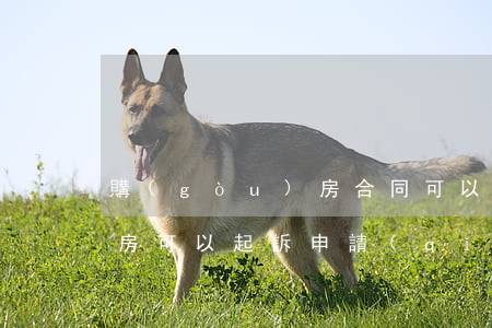 購(gòu)房合同可以做訴訟保全嗎(按揭房可以起訴申請(qǐng)財(cái)產(chǎn)保全不)