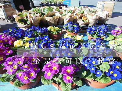 購(gòu)房差價(jià)損失與違約金是否可以一起拿