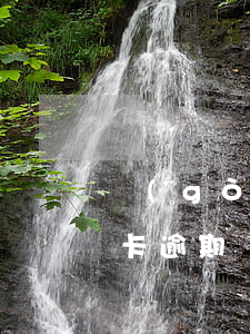 購(gòu)房征信信用卡逾期(征信有信用卡逾期)