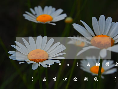購(gòu)房按揭逾期被起訴(購(gòu)房首付逾期被開(kāi)發(fā)商起訴了怎么辦)