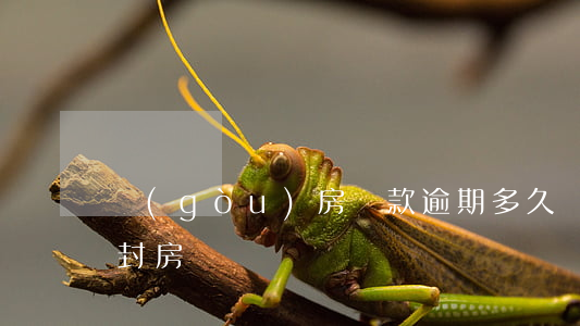 購(gòu)房貸款逾期多久會(huì)封房
