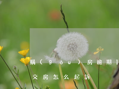 購(gòu)房逾期1年未交房（逾期一年未交房怎么起訴）