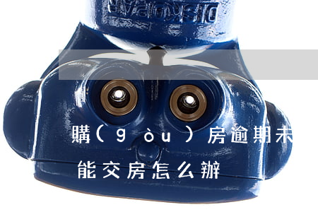 購(gòu)房逾期未交房怎么辦-逾期不能交房怎么辦