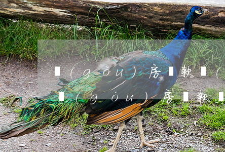 購(gòu)房還款發(fā)生逾期一次(購(gòu)房還款發(fā)生逾期一次)