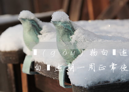 購(gòu)物白條逾期一天影響征信嗎-白條逾期一周正常使用影響征信嗎