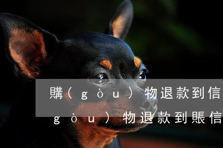 購(gòu)物退款到信用卡多久到賬（購(gòu)物退款到賬信用卡逾期）