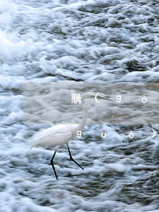 購(gòu)買(mǎi)二手房逾期過(guò)戶(hù)(二手房買(mǎi)家逾期一天過(guò)戶(hù)違約嗎)