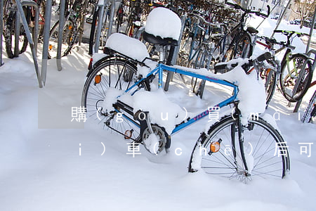 購(gòu)買(mǎi)法院拍賣(mài)車(chē)后可以賣(mài)嗎