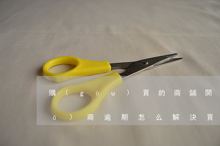 購(gòu)買的商鋪開(kāi)發(fā)商逾期怎么解決(買商鋪開(kāi)發(fā)商拖欠租金怎么辦)