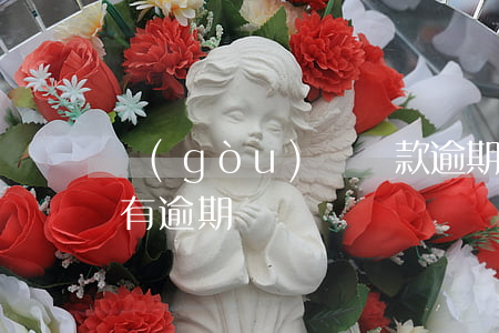 購(gòu)車貸款逾期利息多少(買車貸款有逾期)