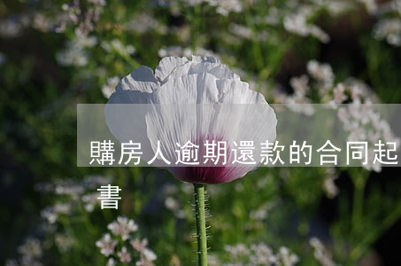 購房人逾期還款的合同起訴狀(房貸逾期起訴書)
