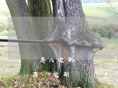 購房人逾期還貸開發(fā)商解除合同（因房貸逾期開發(fā)商起訴解除合同）