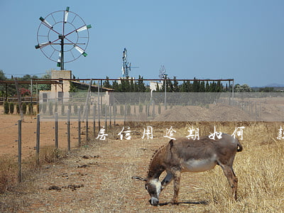 購房信用逾期如何貸款(信用卡逾期貸款買房)