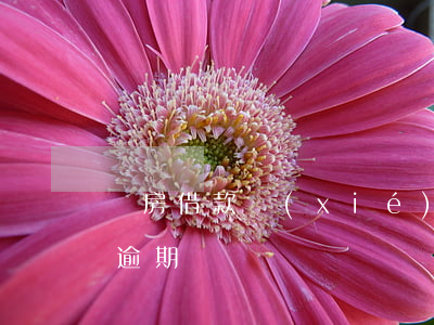 購房借款協(xié)議逾期還款(購房合同逾期)