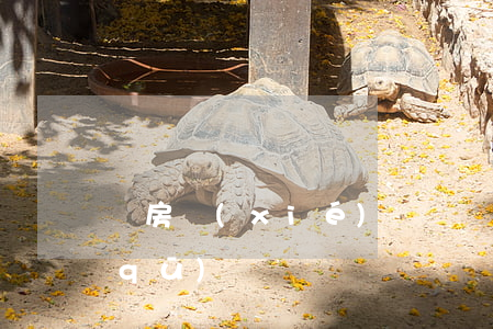 購房協(xié)議與購房合同之間的區(qū)別