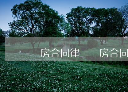 購房合同律師(購房合同律師見證書什么樣子)