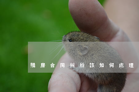 購房合同糾紛該如何處理