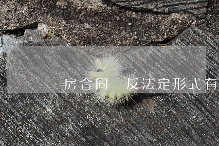 購房合同違反法定形式有效嗎