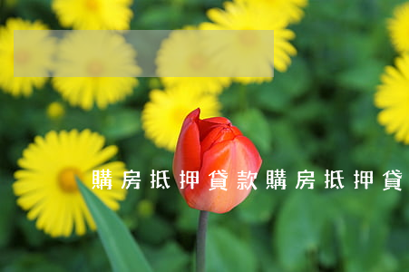 購房抵押貸款(購房抵押貸款需要哪些材料)