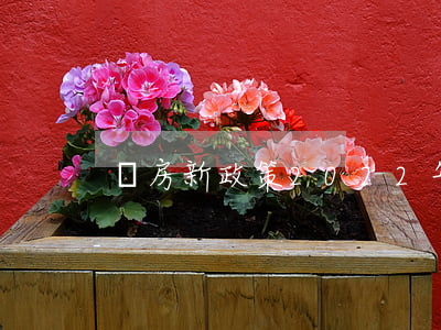 購房新政策(2022年杭州購房新政策)