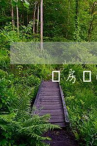 購房發(fā)票的作用有哪些