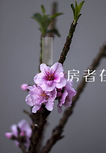 購房者在交房時要注意哪些問題