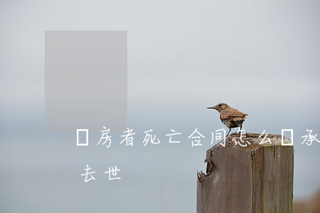 購房者死亡合同怎么繼承(房屋買賣合同買方去世)