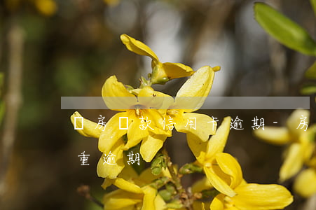購房貸款信用卡逾期-房貸沒逾期信用卡嚴重逾期