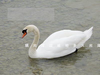 購房貸款逾期多久(房貸逾期幾天)