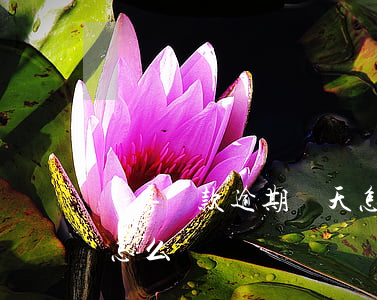 購房貸款逾期幾天怎么辦(購房貸款逾期幾天怎么辦)