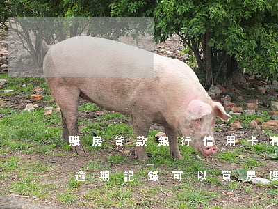 購房貸款銀行信用卡有逾期記錄(銀行貸款有逾期記錄可以買房嗎)