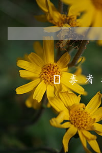 購毒者接收寄遞毒品如何定性
