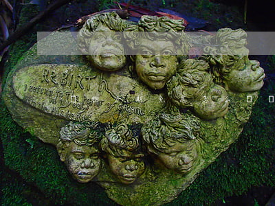 購物分期免息怎么辦(買東西分期免息)