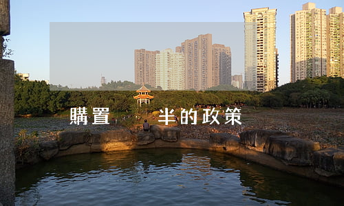 購置稅減半的政策