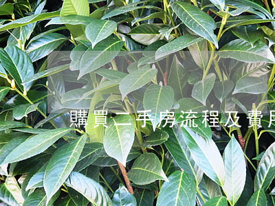 購買二手房流程及費用