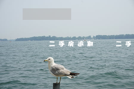購買二手房逾期過戶(二手房買家逾期一天過戶違約嗎)