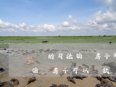 購買的司法拍賣房子可以貸款嗎(購買的司法拍賣房子可以貸款嗎)