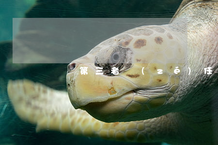 購買第三者責(zé)任保險注意什么