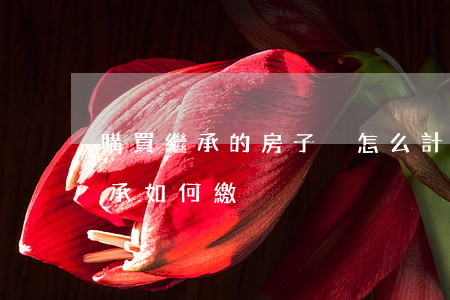 購買繼承的房子稅怎么計(jì)算(房屋繼承如何繳稅)